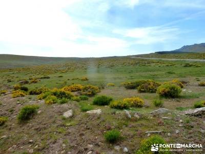 Cerro Perdiguera-Sierra Morcuera-Canencia; rutas senderismo cerca de madrid ruta por la pedriza